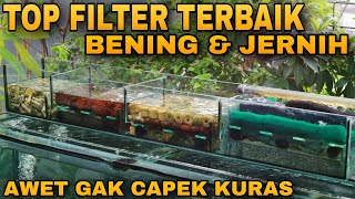 TOP FILTER TERBAIK AQUARIUM JERNIH DAN BENING AWET GAK BIKIN KANTONG JEBOL [upl. by O'Toole209]