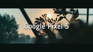 Google Pixel 5 Cinematic 4k Video Test [upl. by Duffy]