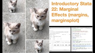 Introductory Stata 22 Marginal Effects margins marginsplot [upl. by Pike]