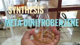 META  DINITROBENZENE SYNTHESIS  ORGANIC CHEMISTRY [upl. by Assirem]