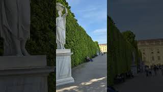 Schonbrunn Palace 美泉宫 I Vienna [upl. by Bell]