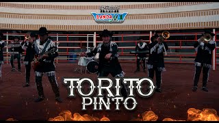 Banda M1  Torito Pinto Video Oficial [upl. by Nyledaj]