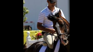 Rodrigo pessoas gymnastic exercise for showjumping [upl. by Candida]