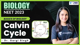 Calvin Cycle  Biology  NEET 2023  Dr Gargi Singh  Unacademy NEET Toppers [upl. by Shwalb78]