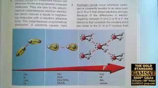 GAMSAT Practice Test 3 Question 66 of ACERs Pink Booklet DNA Solubility and Hbonding [upl. by Ees]