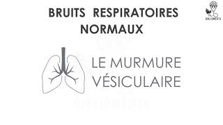 Bruits Respiratoires  Ecoutez le Murmure Vésiculaire [upl. by Tobie723]