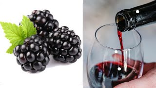 How To Make Easy Homemade WinePart 2 Making Blackberry Wine [upl. by Durkee179]