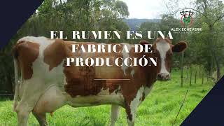 Microbiologia del suelo y Rumen Parte 2 [upl. by Harned]