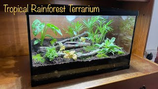 Make a Fish Tank Terrarium  Tropical Rainforest Style [upl. by Latoya]