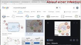 Ablauf eines Virenbefalls bis zur Erkrankung einfach erklärt [upl. by Rephotsirhc]