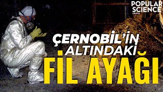 Çernobilin Altındaki Fil Ayağı  Popular Science Türkiye [upl. by Eisen]