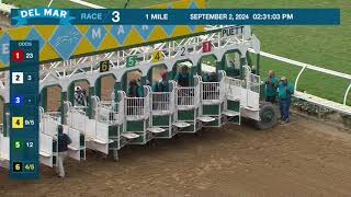 Show Card wins the Tranquility Lake Stakes race 3 at Del Mar 9224 [upl. by Niriam]