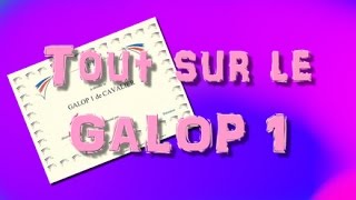 Conseil Le Galop 1 [upl. by Ahsiri]