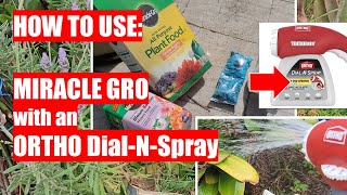 How to use Miracle Gro with ORTHO Dial N Spray [upl. by Aina]