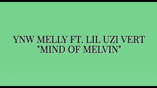 YNW Melly ft Lil Uzi Vert  Mind of Melvin Lyric Video [upl. by Threlkeld]