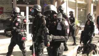 Umbrella Corporation Denver News Story 2013 [upl. by Rapp]