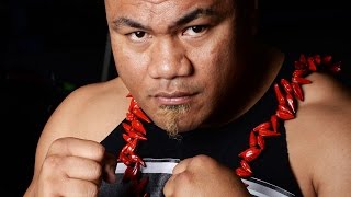 DAVID TUA  HighlightsKnockouts [upl. by Guinn163]