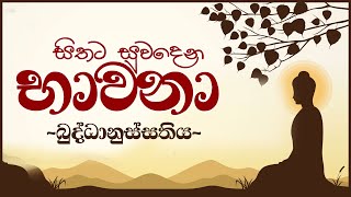 සිතට සුවදෙන භාවනා  බුද්ධානුස්සතිය  Buddhanussathi Bawanawa [upl. by Reitrac]