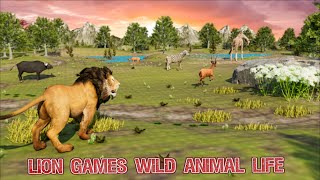 Lion Games Wild Animal Life [upl. by Llehsyt]