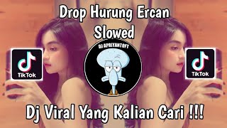 DROP HURUNG ERCAN SLOWED  DJ DROP HURUNG ERCAN VIRAL TIK TOK TEEBARU 2024 YANG KALIAN CARI [upl. by Hercule]