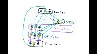 Basal ganglia and Action Selection [upl. by Renelle]