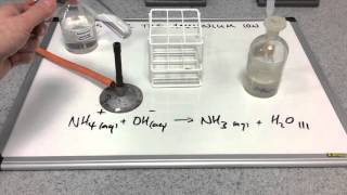 Testing for the ammonium ion [upl. by Eirallih498]