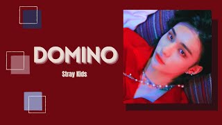 1시간 1 HOUR LOOP Stray Kids  DOMINO [upl. by Atikat]