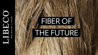 Flax  Fiber of the future [upl. by Jenne906]