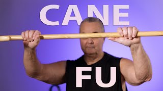 Learn Self Defense With a Cane [upl. by Kilby]