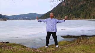 Les 18 mouvements du Tai Ji Qi Gong [upl. by Araiek]