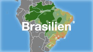 Brasilien  Bevölkerung amp Wirtschaft [upl. by Hafeenah]