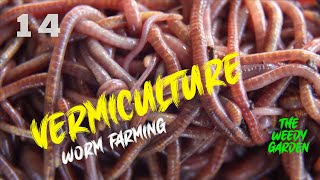 HOW TO MAKE A WORM FARM  Converting an old bathtub into a worm paradise [upl. by Quarta]