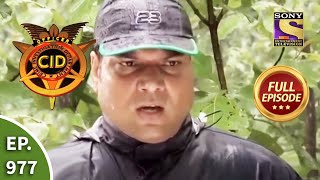 CID  सीआईडी  Ep 977 Jungle Mystery  Full Episode [upl. by Alekim]