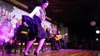 Tablao Flamenco Villa Rosa V CONCURSO DE BAILE FLAMENCO 2016 Semifinales 2a ronda 3r part 1Act [upl. by Solram645]