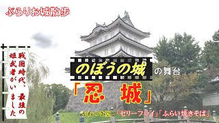 【ぶらりお城散歩】映画『のぼうの城』の舞台となった埼玉県行田市の忍城を歩き、行田市のＢ級グルメ「ゼリーフライ」、「フライ焼きそば」を堪能しました [upl. by Rufford880]