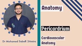 pericardium [upl. by Adnawad]