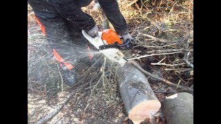 Brennholz im Wald selber machen im Zeitraffer Firewood in the forest timelapse [upl. by Atelokin609]