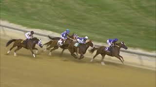 TIMONIUM 08 25 2023 RACE 2 [upl. by Ias]