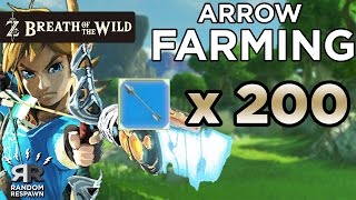 Zelda Breath of the Wild  Arrow Farming 10 min  200 arrows [upl. by Acherman904]