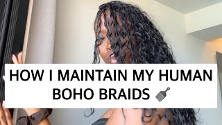 HOW TO MAINTAIN YOUR BOHO BRAIDS [upl. by Eanahs]