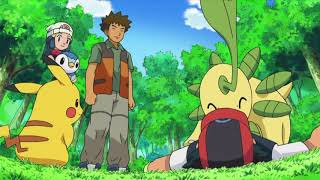 Pokemon Ash se reencuentra con Bayleef LATINO [upl. by Yadrahs]