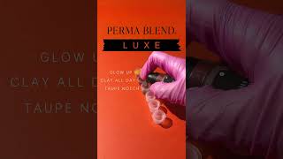 Perma Blend Microblading Pro Set [upl. by Llenahc470]