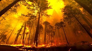 Yosemite Forest Fire Time Lapse and Flyover [upl. by Nasar]