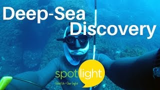 DeepSea Discovery  practice English with Spotlight [upl. by Deyes]