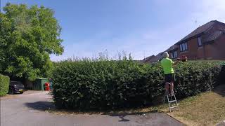 Hawthorn Hedge Trimming [upl. by Hairehcaz]