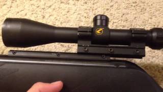 Gamo Whisper 177 Caliber Review [upl. by Seigel]