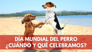 Día Mundial del Perro ¿Cuándo y por qué se celebra  Terránea [upl. by Adnotal701]