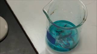 Empirical Formula Experiment  copper chloride hydrate [upl. by Anesusa]