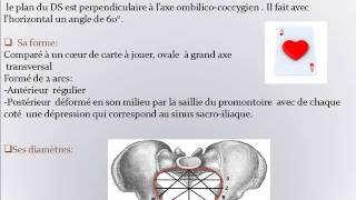 GYNECOLOGIE EXAMEN CLINIQUE DU BASSIN OBSTETRICAL NORMAL [upl. by Lehplar]