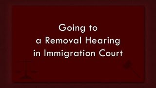 Going to a Removal Hearing in Immigration Court [upl. by Airol]